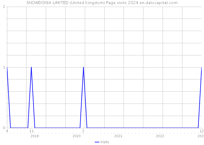 SNOWDONIA LIMITED (United Kingdom) Page visits 2024 