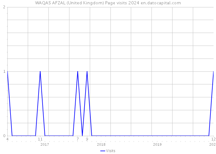 WAQAS AFZAL (United Kingdom) Page visits 2024 