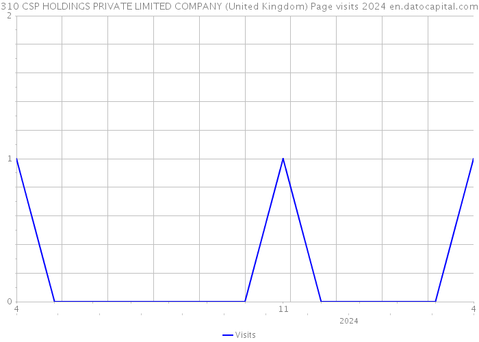 310 CSP HOLDINGS PRIVATE LIMITED COMPANY (United Kingdom) Page visits 2024 