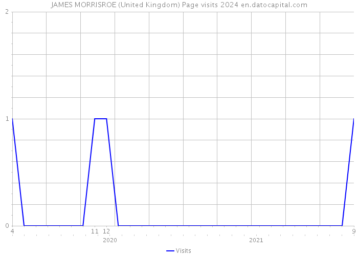 JAMES MORRISROE (United Kingdom) Page visits 2024 