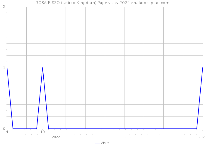 ROSA RISSO (United Kingdom) Page visits 2024 
