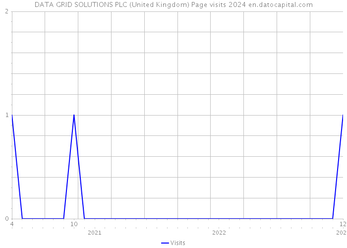 DATA GRID SOLUTIONS PLC (United Kingdom) Page visits 2024 