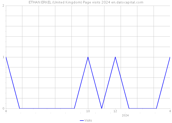 ETHAN ERKEL (United Kingdom) Page visits 2024 
