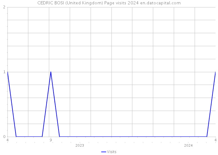 CEDRIC BOSI (United Kingdom) Page visits 2024 