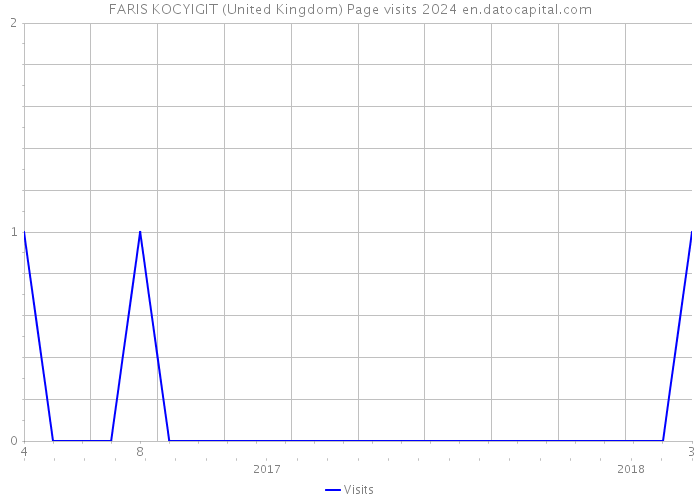 FARIS KOCYIGIT (United Kingdom) Page visits 2024 