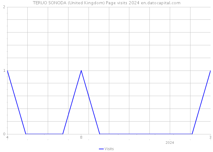TERUO SONODA (United Kingdom) Page visits 2024 