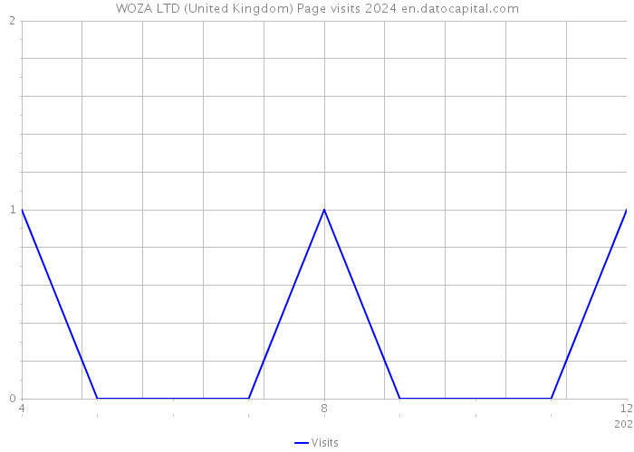 WOZA LTD (United Kingdom) Page visits 2024 