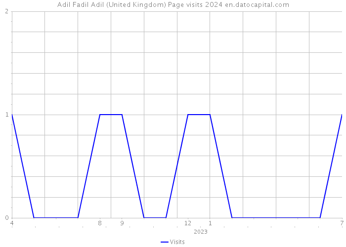 Adil Fadil Adil (United Kingdom) Page visits 2024 