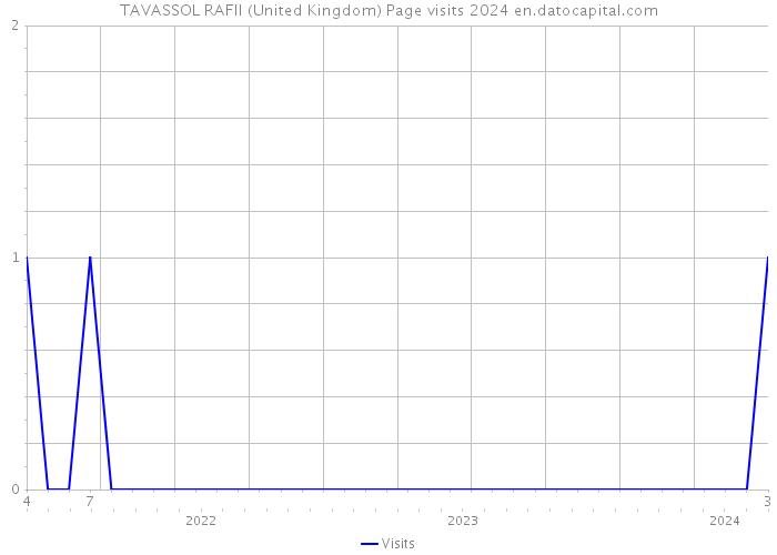TAVASSOL RAFII (United Kingdom) Page visits 2024 
