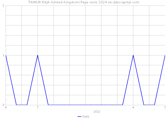 TAIMUR RAJA (United Kingdom) Page visits 2024 