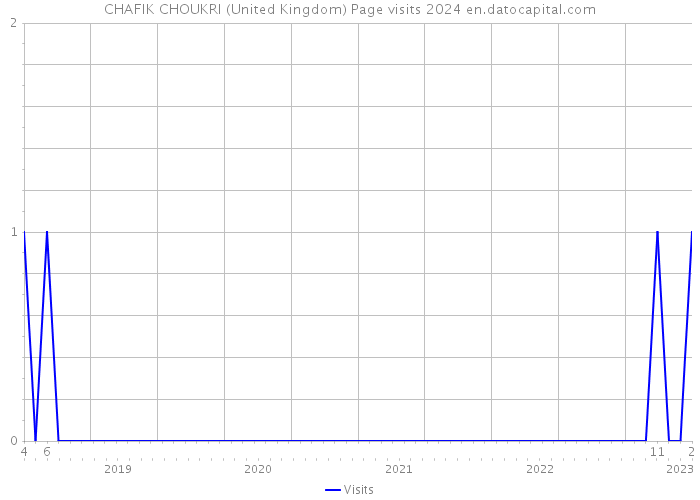 CHAFIK CHOUKRI (United Kingdom) Page visits 2024 