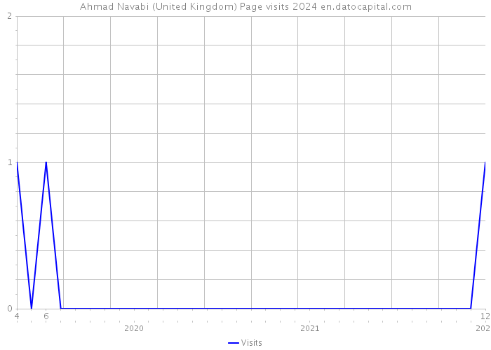 Ahmad Navabi (United Kingdom) Page visits 2024 