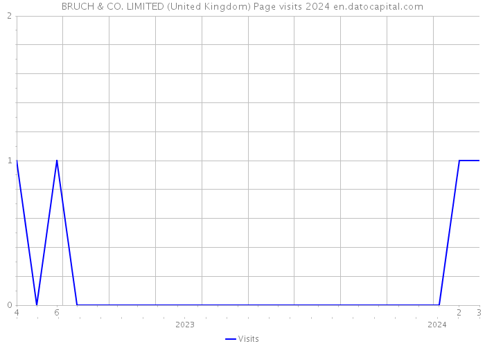BRUCH & CO. LIMITED (United Kingdom) Page visits 2024 