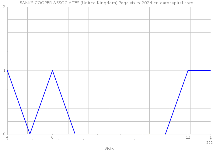 BANKS COOPER ASSOCIATES (United Kingdom) Page visits 2024 