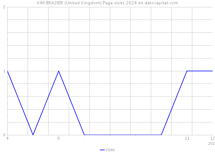 KIM BRAZIER (United Kingdom) Page visits 2024 