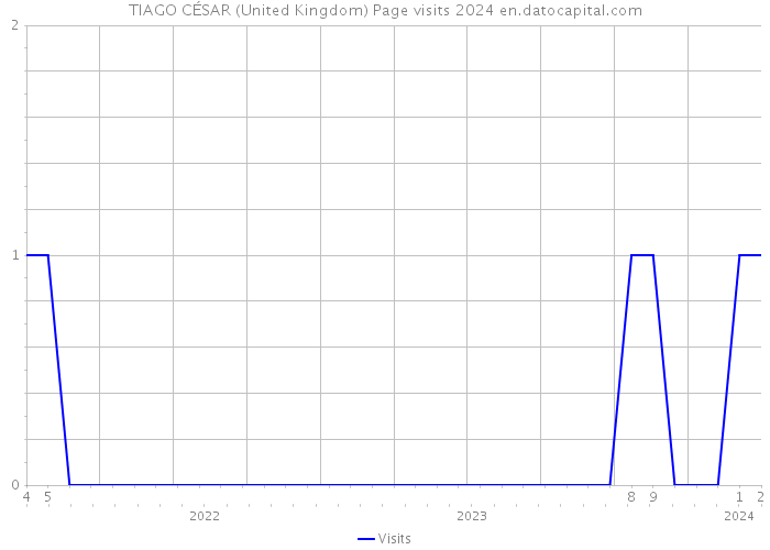 TIAGO CÉSAR (United Kingdom) Page visits 2024 