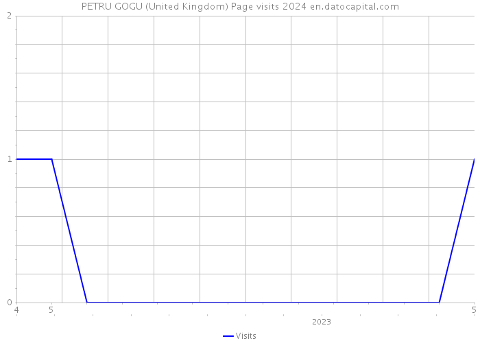 PETRU GOGU (United Kingdom) Page visits 2024 