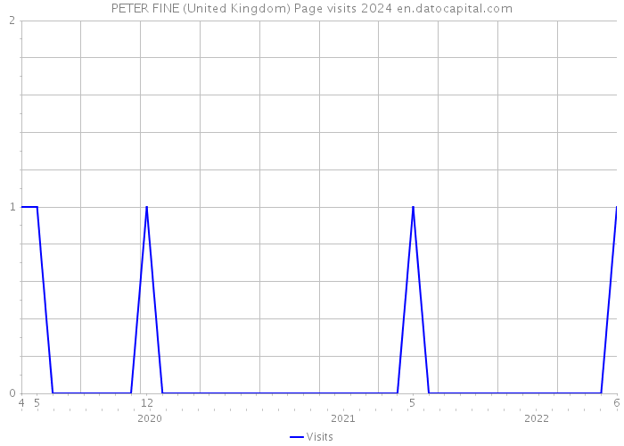PETER FINE (United Kingdom) Page visits 2024 