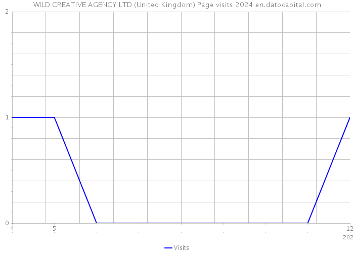 WILD CREATIVE AGENCY LTD (United Kingdom) Page visits 2024 