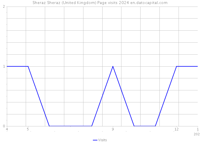 Sheraz Sheraz (United Kingdom) Page visits 2024 