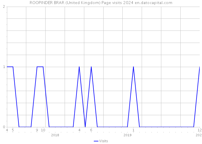 ROOPINDER BRAR (United Kingdom) Page visits 2024 