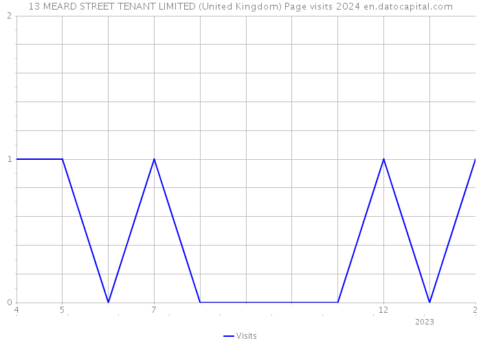 13 MEARD STREET TENANT LIMITED (United Kingdom) Page visits 2024 