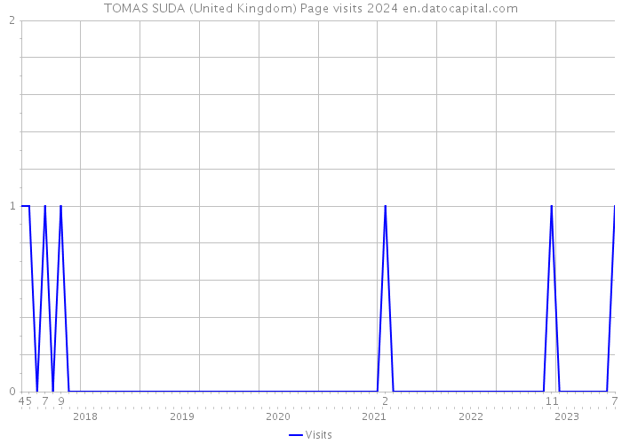 TOMAS SUDA (United Kingdom) Page visits 2024 
