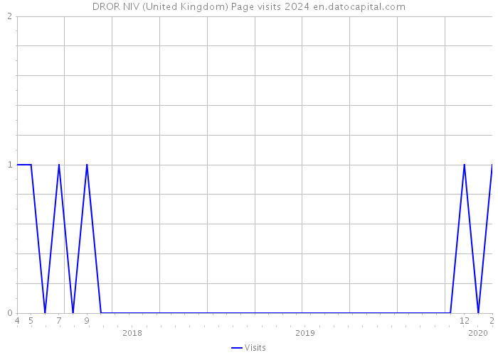 DROR NIV (United Kingdom) Page visits 2024 