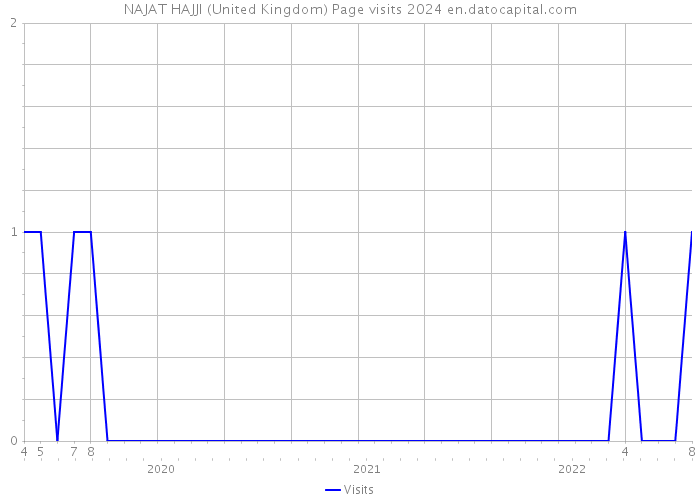 NAJAT HAJJI (United Kingdom) Page visits 2024 