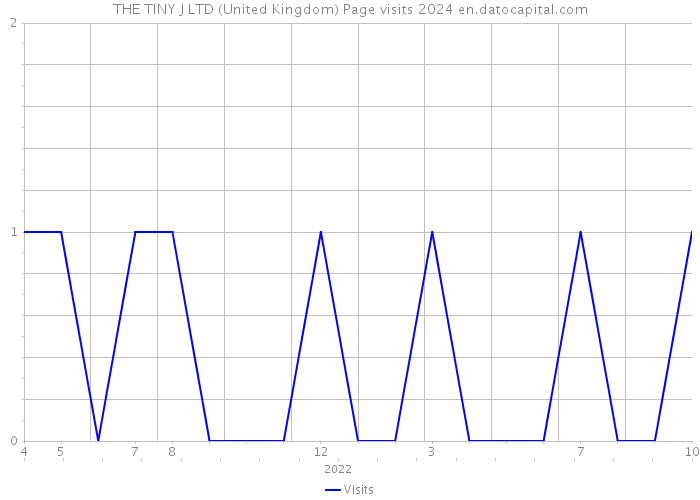 THE TINY J LTD (United Kingdom) Page visits 2024 