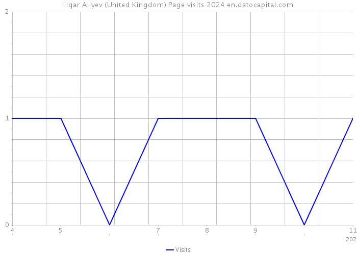 Ilqar Aliyev (United Kingdom) Page visits 2024 