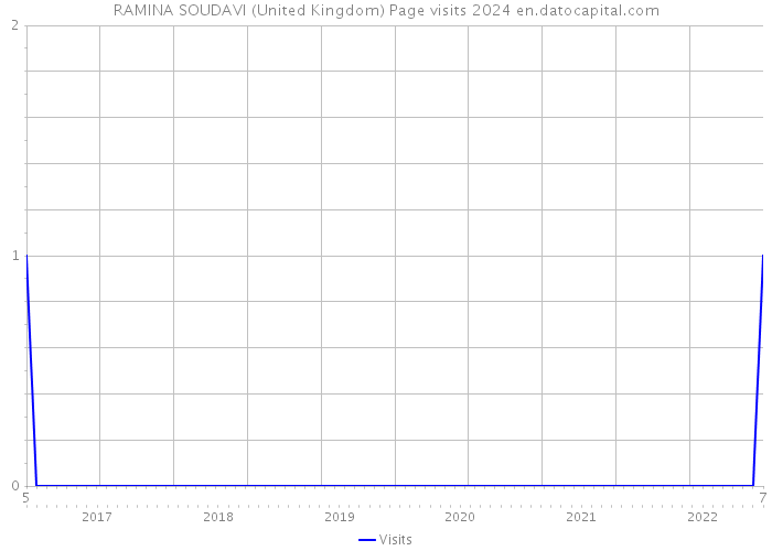 RAMINA SOUDAVI (United Kingdom) Page visits 2024 