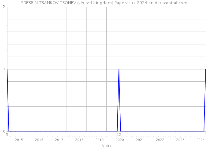 SREBRIN TSANKOV TSONEV (United Kingdom) Page visits 2024 