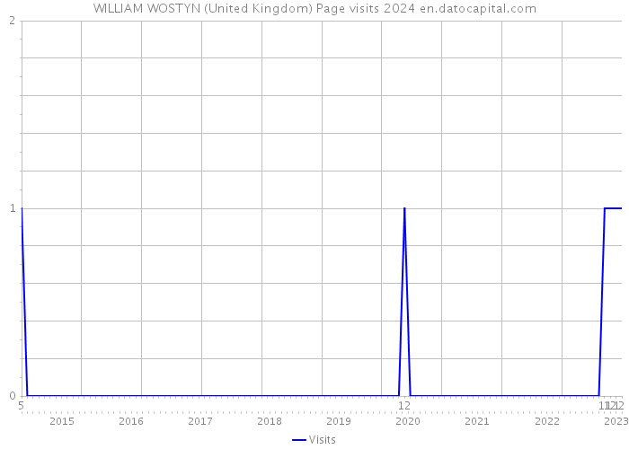 WILLIAM WOSTYN (United Kingdom) Page visits 2024 