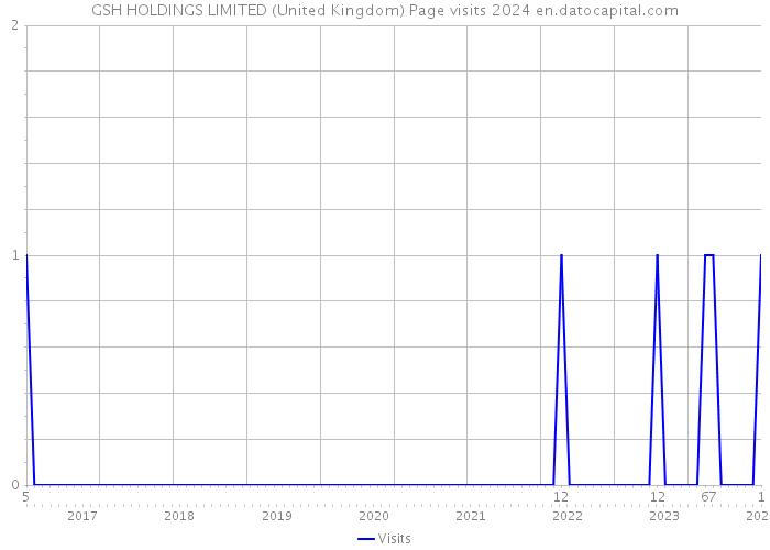 GSH HOLDINGS LIMITED (United Kingdom) Page visits 2024 