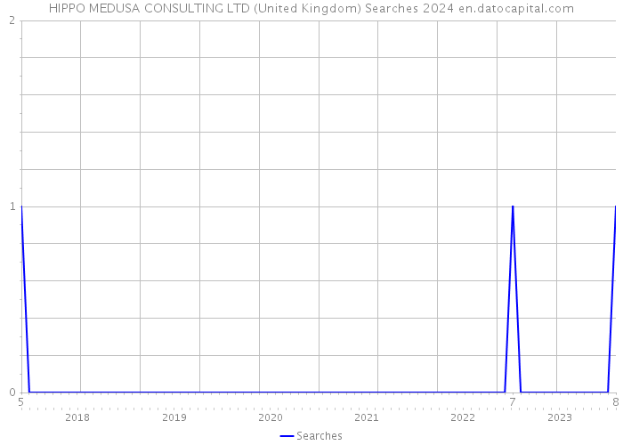 HIPPO MEDUSA CONSULTING LTD (United Kingdom) Searches 2024 