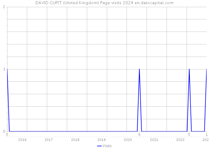 DAVID CUPIT (United Kingdom) Page visits 2024 