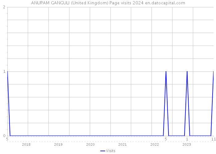 ANUPAM GANGULI (United Kingdom) Page visits 2024 