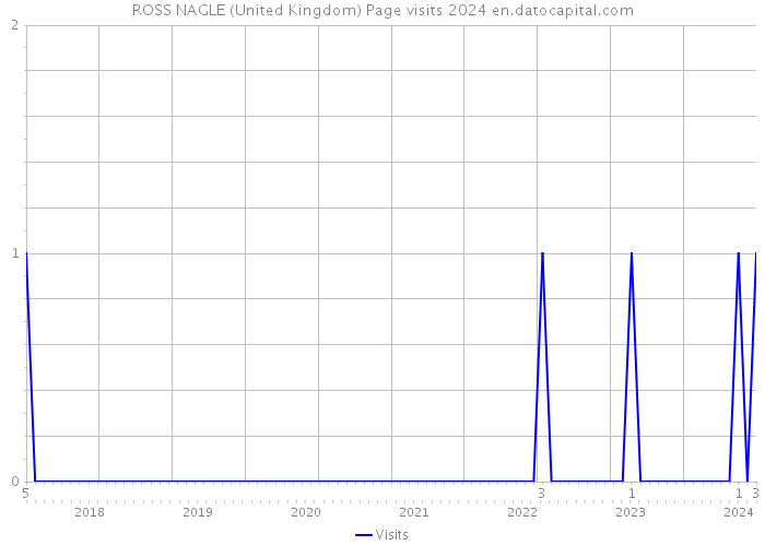 ROSS NAGLE (United Kingdom) Page visits 2024 