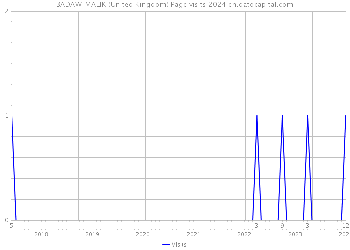 BADAWI MALIK (United Kingdom) Page visits 2024 
