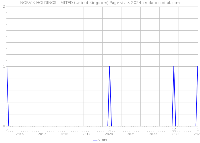 NORVIK HOLDINGS LIMITED (United Kingdom) Page visits 2024 