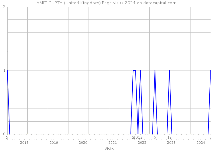 AMIT GUPTA (United Kingdom) Page visits 2024 