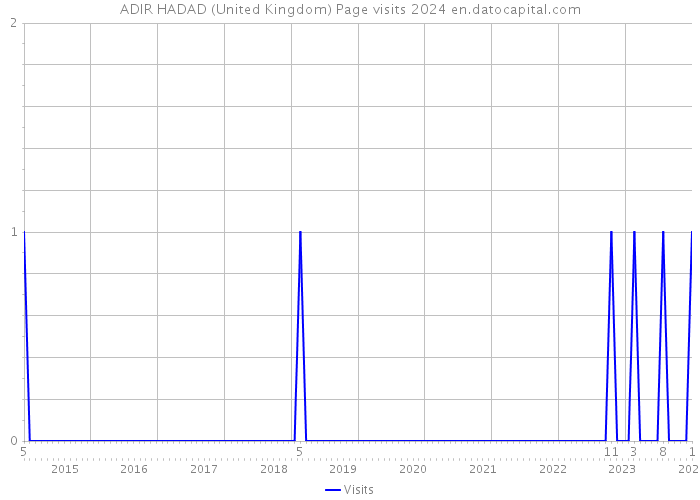 ADIR HADAD (United Kingdom) Page visits 2024 