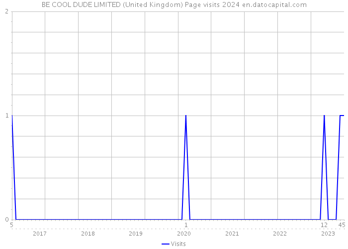 BE COOL DUDE LIMITED (United Kingdom) Page visits 2024 