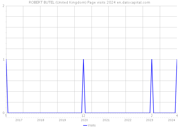 ROBERT BUTEL (United Kingdom) Page visits 2024 