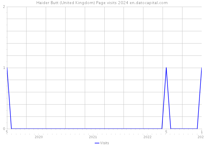 Haider Butt (United Kingdom) Page visits 2024 