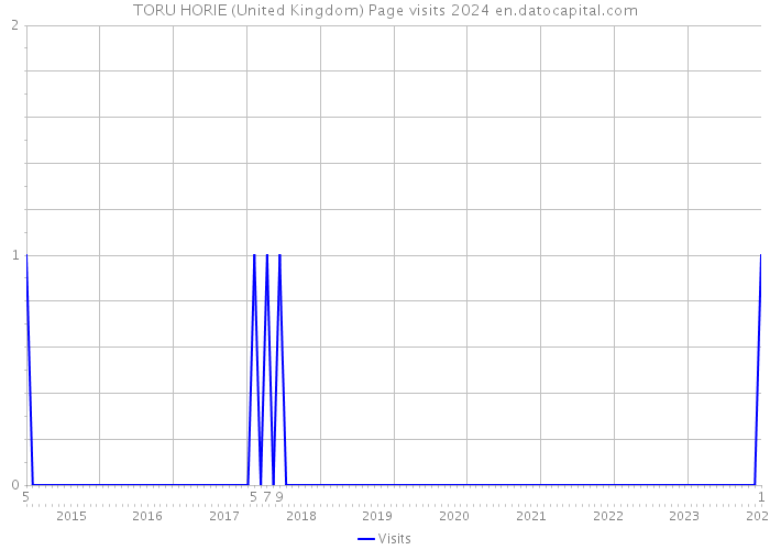 TORU HORIE (United Kingdom) Page visits 2024 