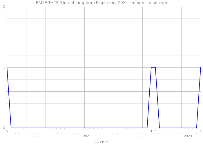 FAME TATE (United Kingdom) Page visits 2024 