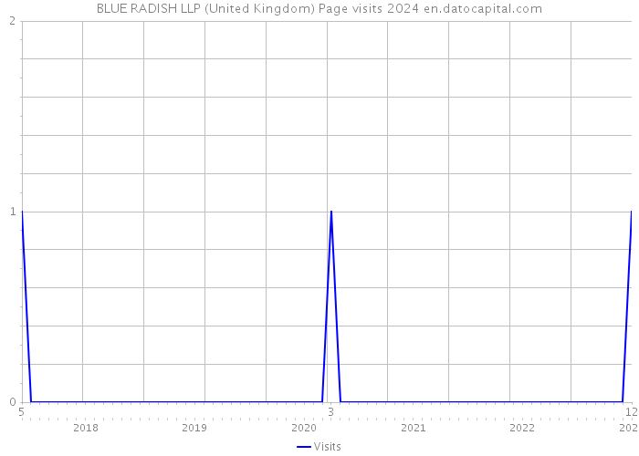BLUE RADISH LLP (United Kingdom) Page visits 2024 