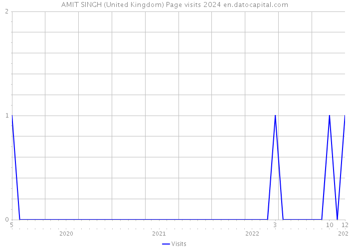 AMIT SINGH (United Kingdom) Page visits 2024 